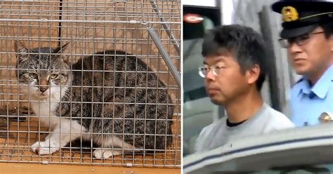 Man Filmed Himself Killing 13 Cats With Blowtorch Metro News