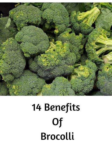 14 Benefits Of Broccoli For The Elderly