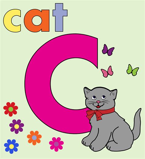 Cat Alphabet Letter C Free Stock Photo Public Domain Pictures