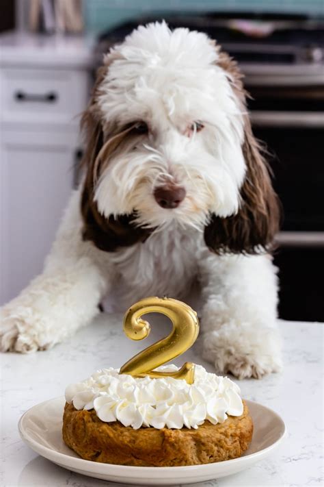 The optional frosting is made from peanut butter and yogurt. Recipe for a dog birthday cake edible to dogs - fccmansfield.org