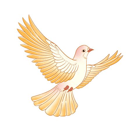 Doves Flying White Transparent Flying Dove Pigeon The Dove Fly Png