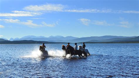 Sweden | Lapland | Icelandic horse | Trail Ride ...