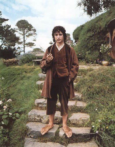 Frodo Lord Of The Rings Photo 10885255 Fanpop