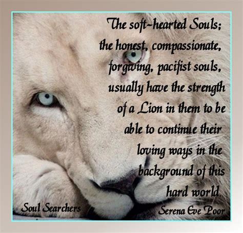 Quotes About Lions Heart Lion Quotes Positive Quotes Lioness Quotes