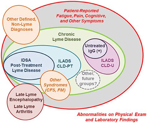 Frontiers Post Treatment Lyme Disease As A Model For Persistent