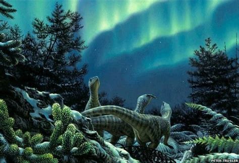 Leaellynasaura Leaellyn S Lizard Was An Ornithopod Dinosaur That