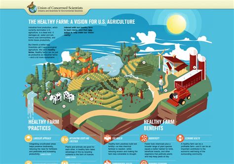What Is Plantation Farming