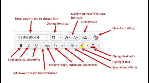 Formatting Of Text Font Group In Ms Word Part 3 Youtube