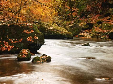 Autumn Mountain River With Blurred Waves Fresh Green Mossy Stones