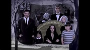 The Addams Family (1964 TV series) - Alchetron, the free social ...