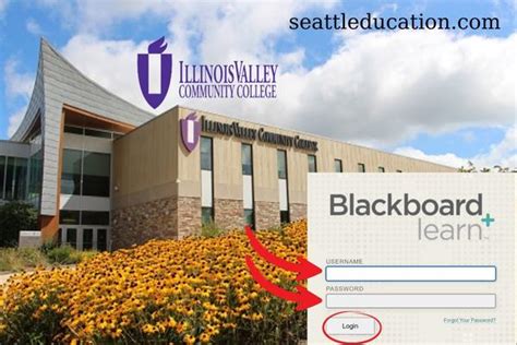 Ttu Blackboard Login Online Portal Texas Tech Universityportal