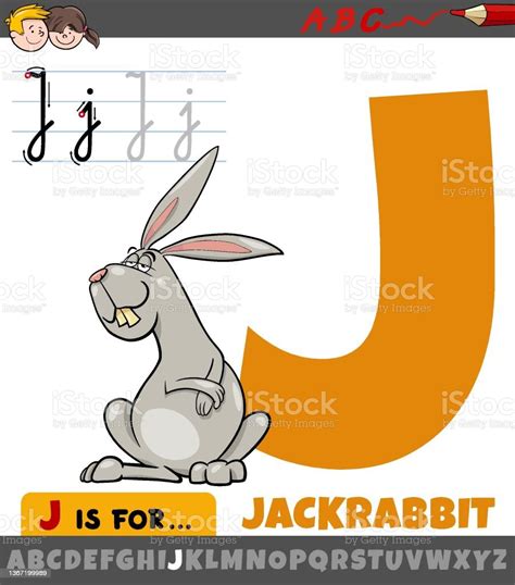 Vetores De Letra J Do Alfabeto Com Personagem Animal Jackrabbit Desenho