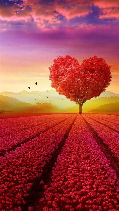 Love Heart Shape Tree Flowers 4k Ultra Hd Mobile Wallpaper Tree