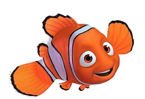 √ Nemo Fisch Malen Fischlexikon