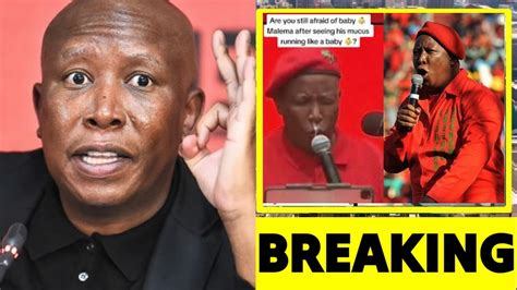 julius malema attacked during manifesto launch after his argument with ngizwe mchunu caused this