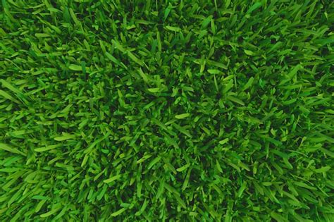 Premium Photo Grass Background Texture Fresh Grass 3d Rendering