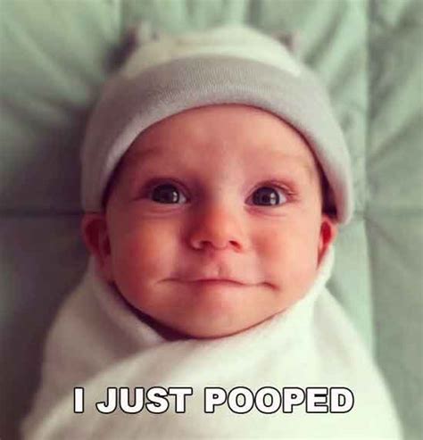 I Just Pooped Funny Pictures Quotes Pics Photos Images Videos Of