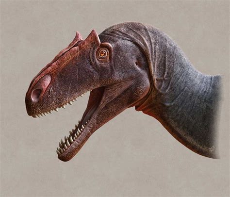 New Species Of Carnivorous Dinosaur Discovered In Utah Slashgear