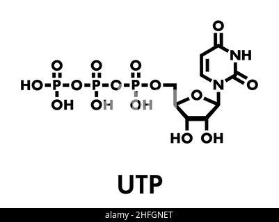 Uridine Triphosphate Nucleotide Molecule Stock Photo Alamy