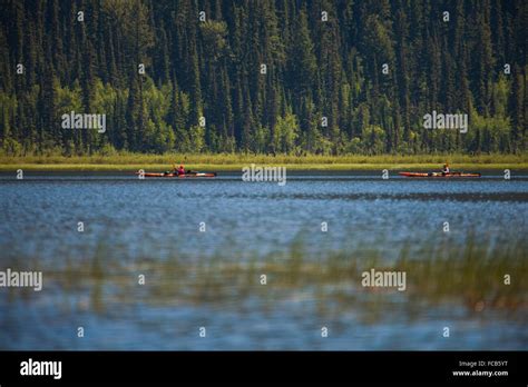 Kayaking On Bowron Lake In Bowron Lake Provincial Park Stock Photo Alamy