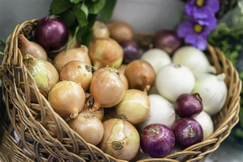 Hello Fresh Onion Recall Lawsuit | Onion Salmonella Recalls Lawyer