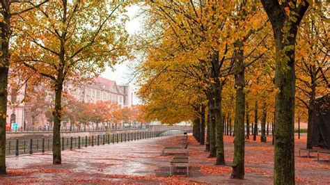 Guide To The Unter Den Linden Boulevard In Berlin Berlin Tourist