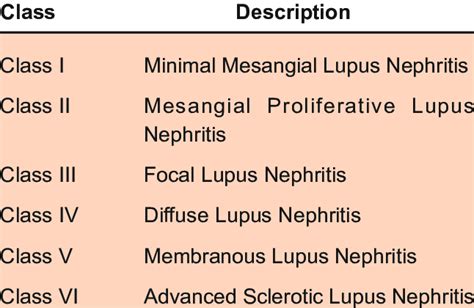 Lupus Nephritis International Society Of Nephrology And Renal