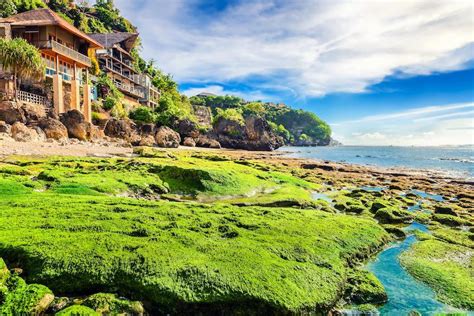 The Bali Bible Bingin Beach