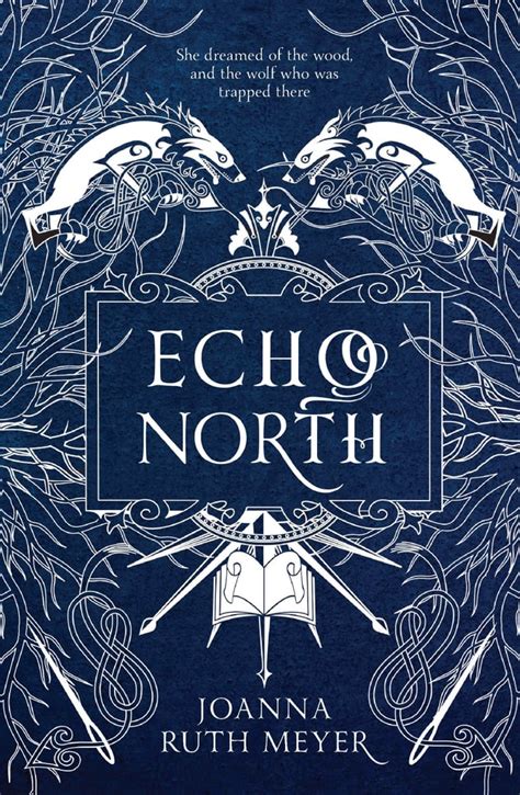 Echo North By Joanna Ruth Meyer Best Ya Books For Tweens And Teens