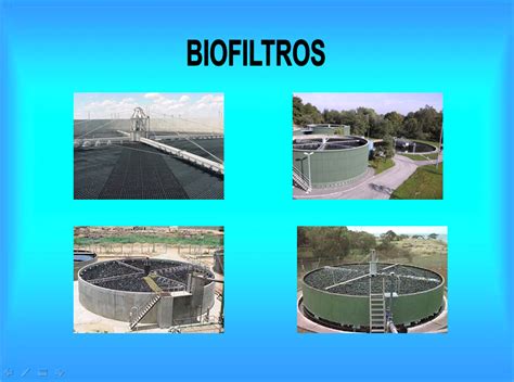Escalada Agenda Medalla Biofiltración De Aguas Residuales Viva