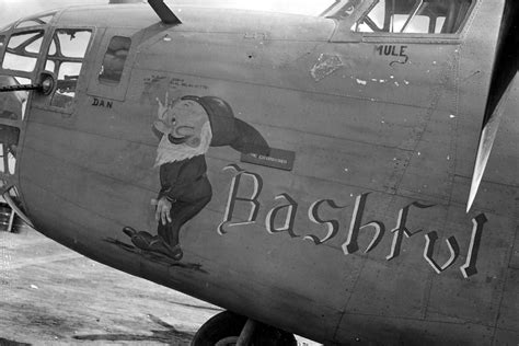 Consolidated B 24d Liberator Bashful Nose Art 98th Bomb Group World