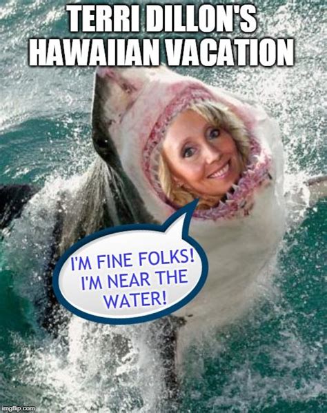 Custom Image Hawaiian Vacation Custom Images Memes