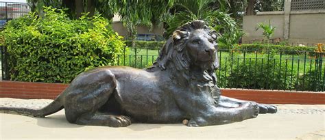 Karachi Zoo Location Timings And More Zameen Blog