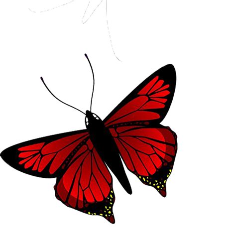 Butterfly Illustration Red Butterfly Png Download 10001061 Free