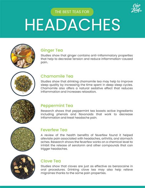 Does Tea Reduce Headache Carlee Hoang