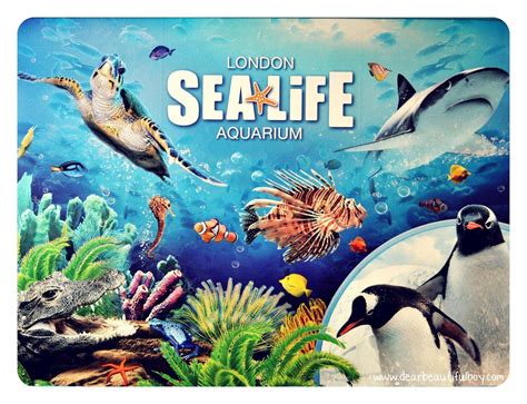 Sea Life London Aquarium Wallpapers Wallpaper Cave