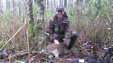 Eastern Shore Md Sika Deer Hunt Youtube