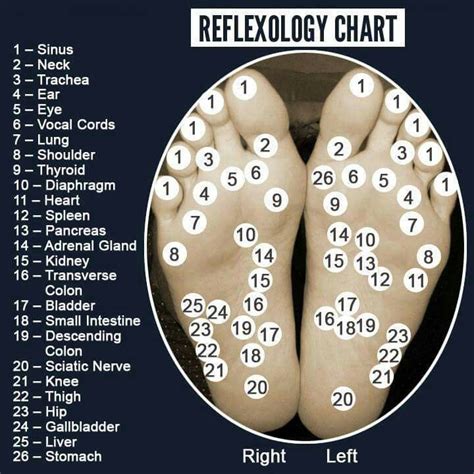 Reflexology Of Foot Reflexology Reflexology Chart Reflexology Massage