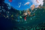 what is the great pacific garbage patch | Skyewater Photo + Film