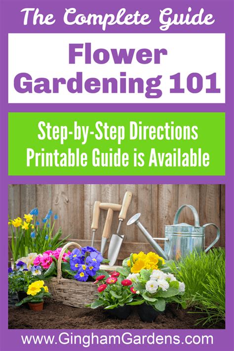 Flower Gardening 101 Flower Gardening 101 Gardening 101 Healthy Garden
