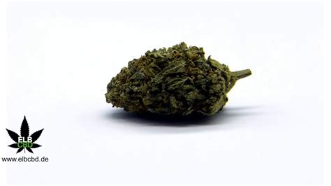 cbd gras legal in deutschland cbd blüten cbd cannabisblüten cbd cannabis legal in