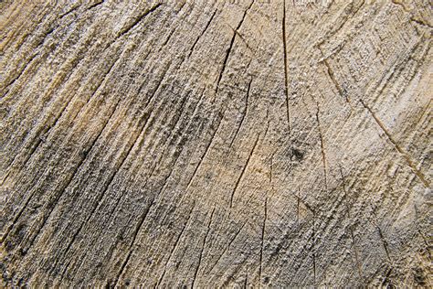 Otfchoppedwood16 16 High Resolution Chopped Wood Textur Flickr