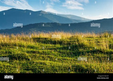 Summer Scenery Of Grassy Field In Mountains Mountain Ridge With High