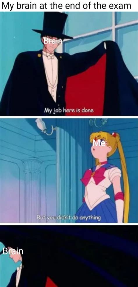 80 Relatable Sailor Moon Memes For True Fans FandomSpot