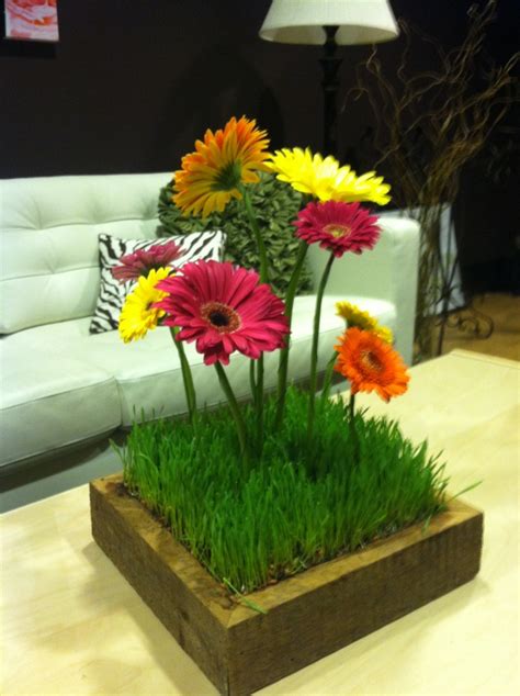 17 Best Images About Wheat Grass Centerpieces On Pinterest