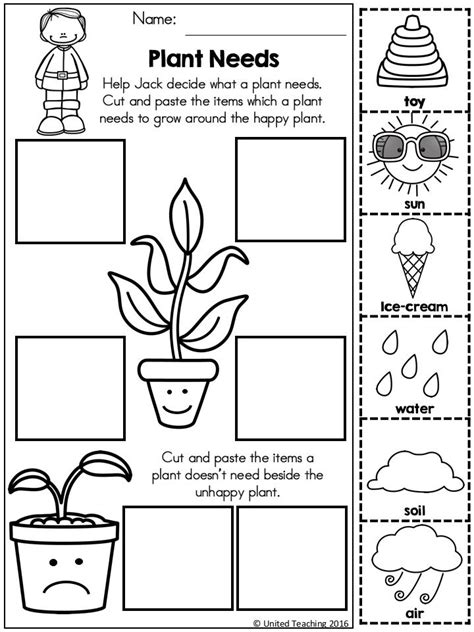 2555 Best Plants Images On Pinterest School Plants And Preschool