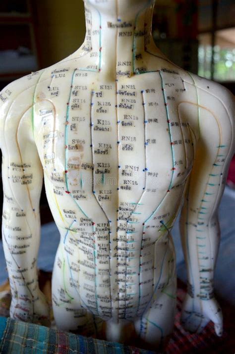 Chińska Akupunktura Punktu Lala Przy Panjiayuan Weekendu Rynkiem