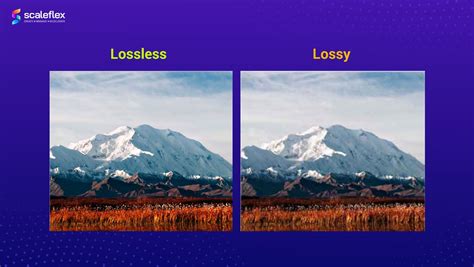 Lossy And Lossless Compression Br