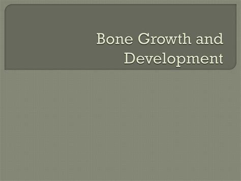 Ppt Bone Growth And Development Powerpoint Presentation Free