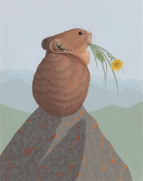 American Pika Great Gray Art Nathan Marcy Wildlife Nature Painting